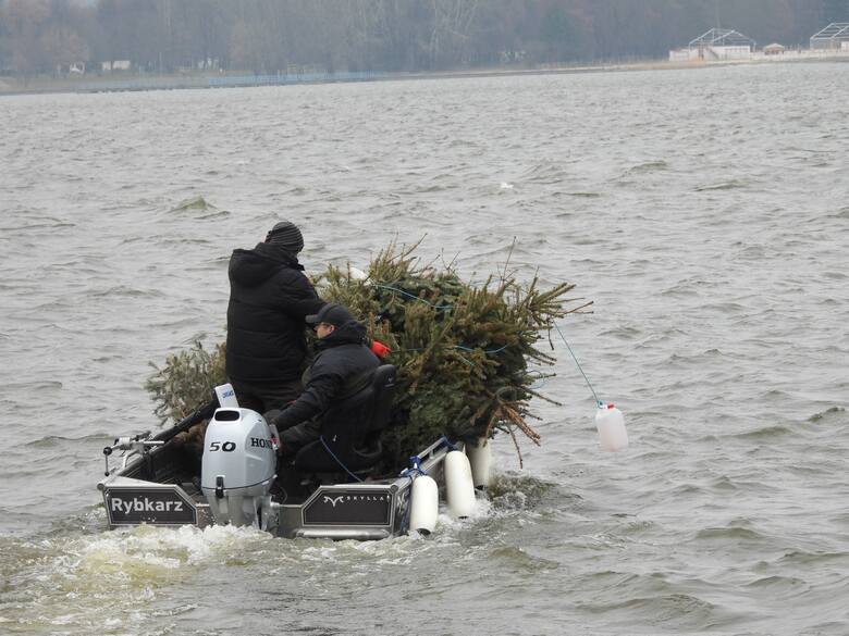Choinki świąteczne wylądowały na dnie Zalewu Zemborzyckiego. Akt wandalizmu? Nie, to ważna akcja 