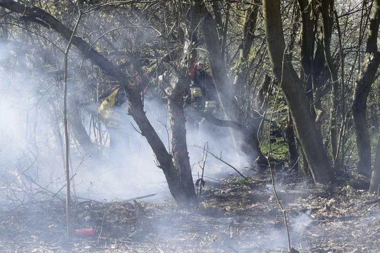 W poniedziałek (15 kwietnia) po południu zapaliła się trawa na działce sąsiadującej ze Żłobkiem Miejskim Iskierka. Pożar gasili skierniewiccy strażacy.