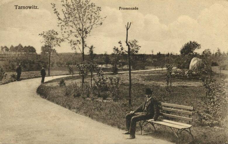 W1903 roku w centralnej części miasta Tarnowskie Góry powstał urokliwy park miejski. Wydarzyło się to dzięki inicjatywie ówczesnego burmistrza Ryszarda