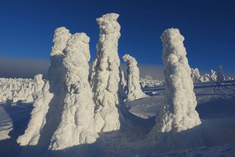 Podczas górskich wędrówek w Karkonoszach możecie napotkać fantastyczne śnieżne stwory lub drzewa obsypane igiełkami z lodu. Są magiczne.