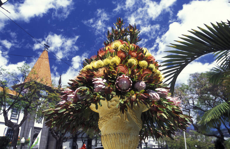Festiwal kwiatów na Maderze