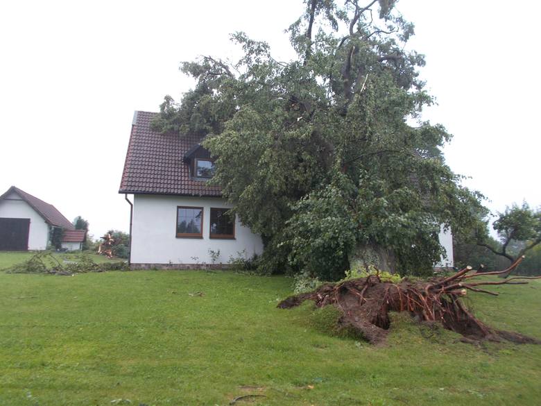 Jakby tego nieszczęścia było mało, to jeszcze na dom Synaków zwaliło się ogromne drzewo i uszkodziło dach