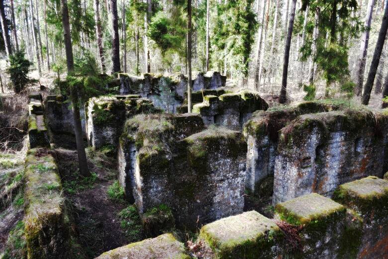 W samym środku lasu możemy napotkać betonowe ruiny, które są pozostałością po kopalnianych obiektach.