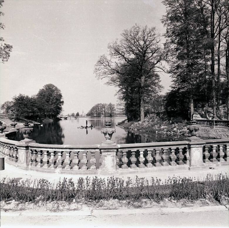 Projekt zalewu w Bogatyni powstał w 1968 roku. Amfiteatr był budowany z kamiennych elementów, które niegdyś stanowiły wyposażenie pałaców w Radomierzycach