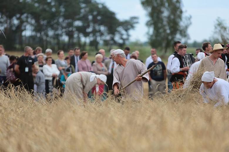 Kolorowe Łowickie Żniwa [GALERIA]