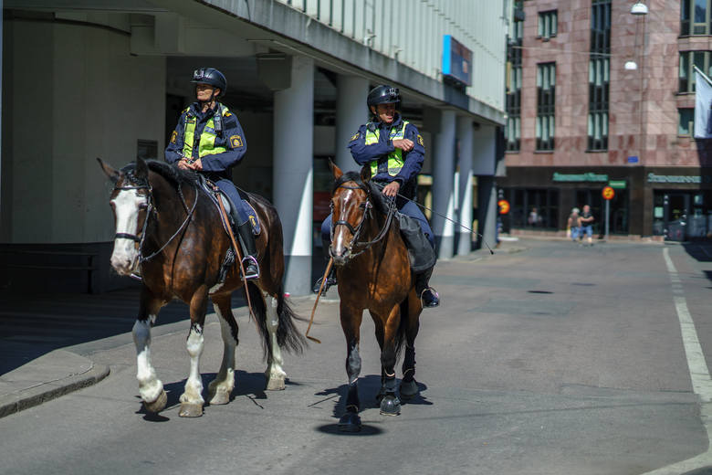 <strong>Straż miejska - konie</strong><br /> <br /> Konie w straży miejskiej są używane do realizacji zadań patrolowo-prewencyjnych.<br />  <br />  