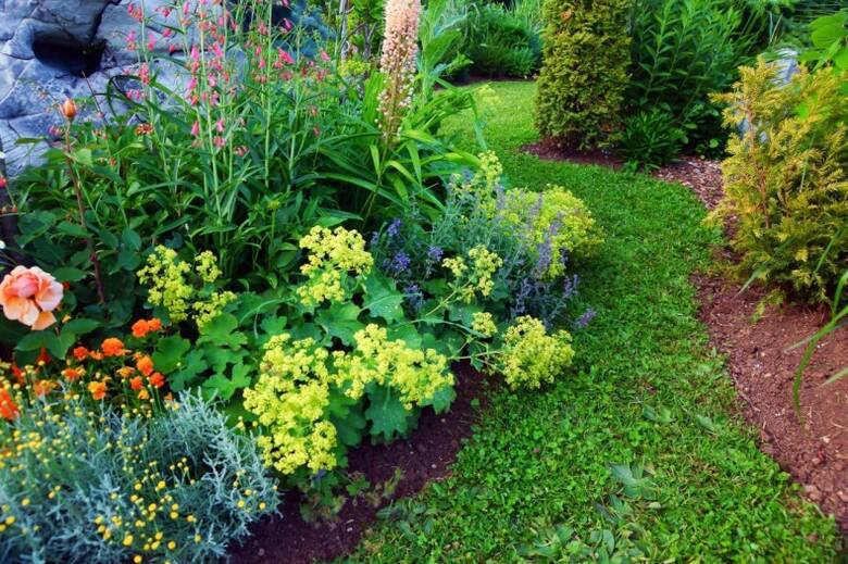 Jeśli rośliny będą dobrze dobre do warunków danego ogrodu (i miejsca w nim), to będą dobrze rosły, a ich pielęgnacja nie będzie kłopotliwa.