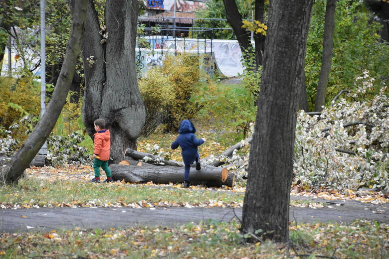 Połamane drzewa w Parku Tysiąclecia. Miejsce to czekają teraz duże zmiany...