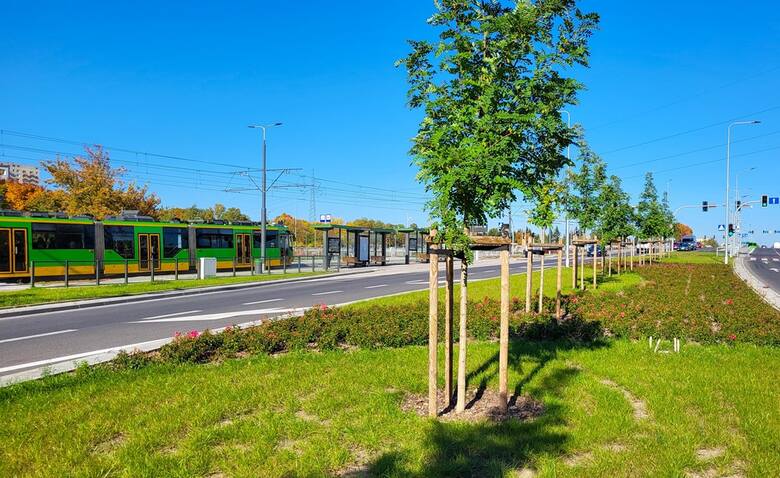 Nowa jakość poznańskiej komunikacji tramwajowej                  