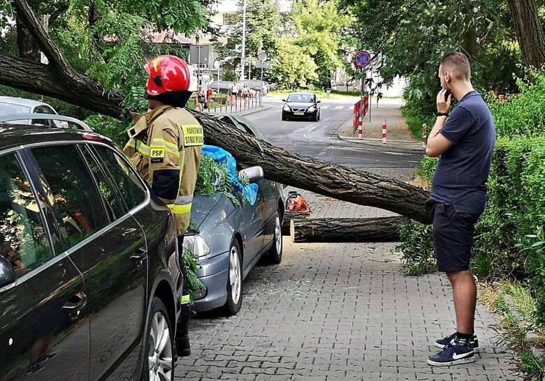 Kraków. Drzewo spadło na samochód. Trwa usuwanie szkód