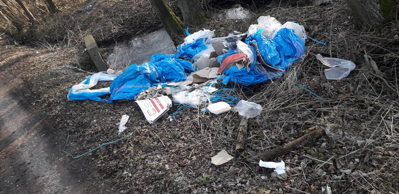 Nielegalne składowisko śmieci w kompleksie leśnym położonym w miejscowości Babsk