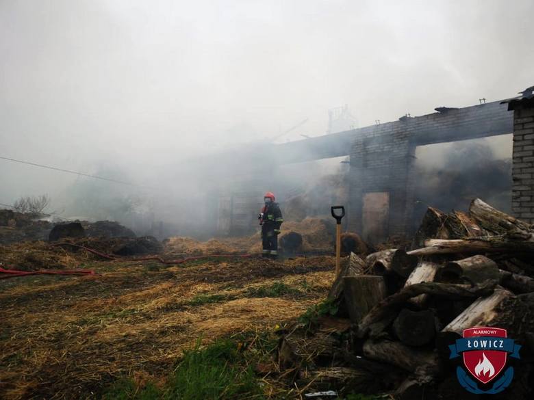 Duży pożar w powiecie łowickim. Z dymem poszło 125 tys. zł [ZDJĘCIA]