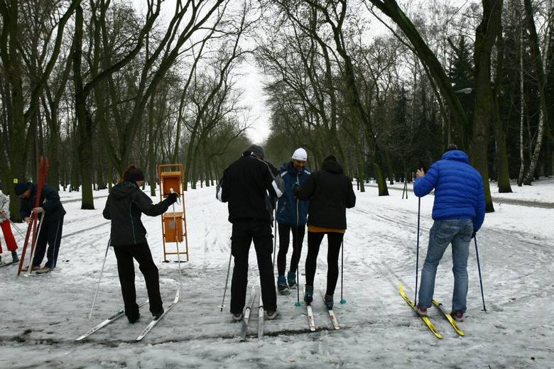 Zajęcia narciarskie w parku na Zdrowiu.
