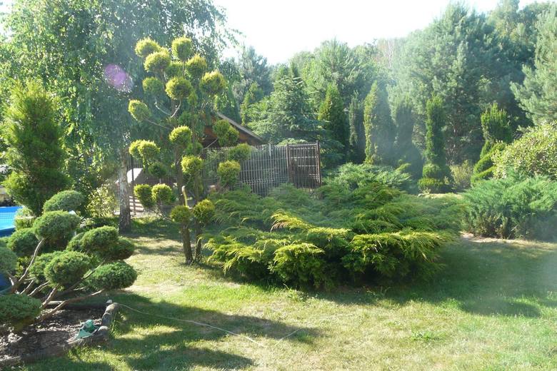 Przydomowy ogród Beaty i Tomasza Pawlików
