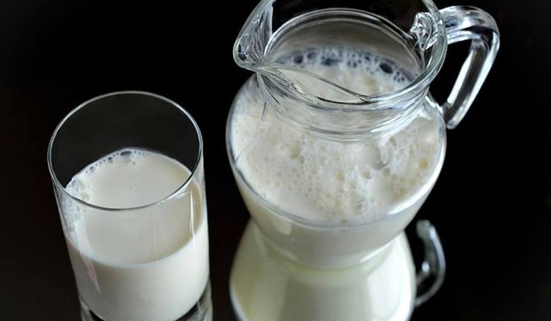 Mleko bez laktozy jest bardzo dobrym rozwiązaniem dla osób, które wraz z wiekiem straciły zdolność prawidłowego trawienia cukru mlecznego