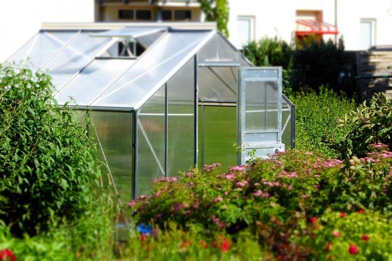 Do oszklenia cieplarni można wykorzystać szkło (najlepiej szkło ogrodnicze) lub poliwęglan komorowy.