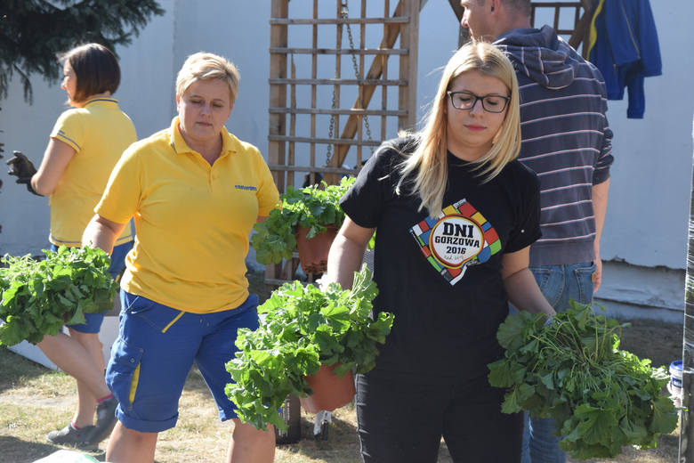 Podwórko przy ul. Łokietka 9 i ul. 30-go Stycznia w Gorzowie Wlkp. bierze udział w akcji "Odnawiamy podwórka".