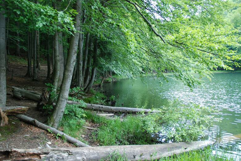 Jeziorka Duszatyńskie w rezerwacie przyrody Zwiezło