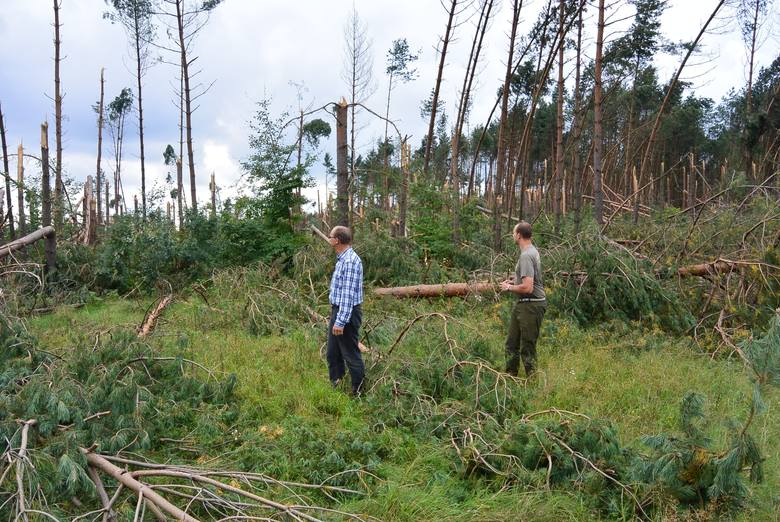 Andrzej Synak i jego syn Mateusz, leśnik z zawodu, są przekonani, że w pojedynkę indywidualni właściciele lasów nie będą sobie w stanie poradzić ze skutkami sierpniowej nawałnicy