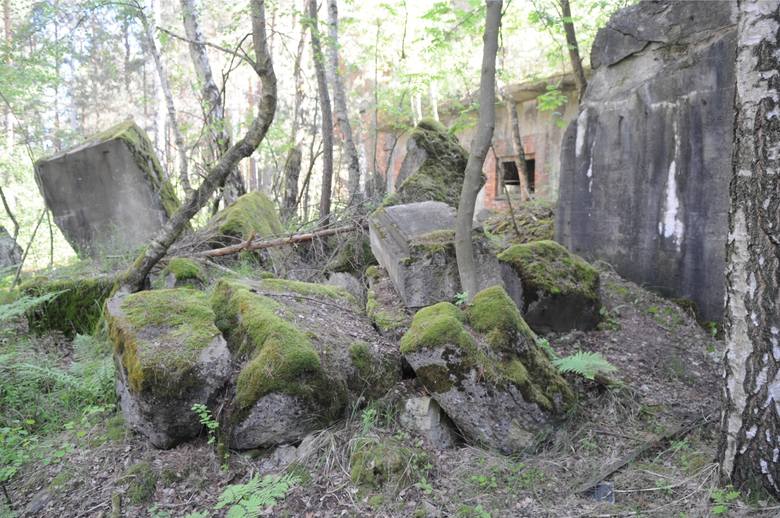 Pozostałości po fabryce broni w lesie w Krzystkowicach