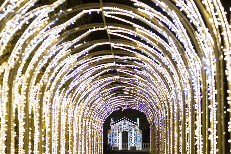 Tunel światła w ogrodach pałacu w Wilanowie