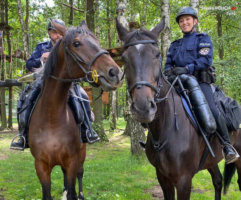Policja konna w sezonie letnim będzie cyklicznie pojawiać się na tyskich Paprocanach.