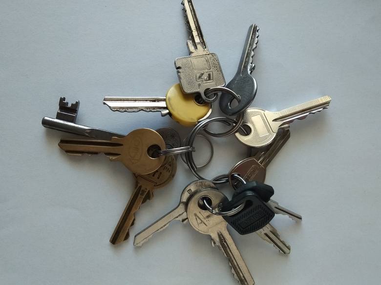 Kto zgubił takie klucze w parku nad Kanałem Bydgoskim?