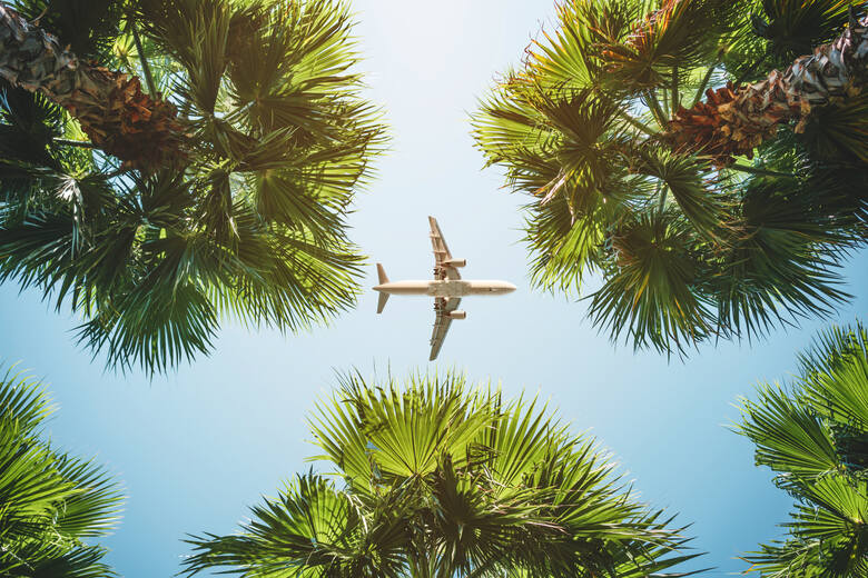 Samolot nad palmami