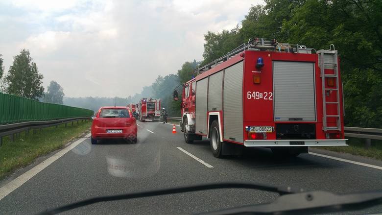 Pożar lasu w Tychach. Strażakom w akcji pomagały samoloty Dromader i śmigłowiec