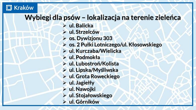 Kraków. Mieszkańcy wskazali, gdzie mają powstać nowe wybiegi dla psów w mieście. Jest lista