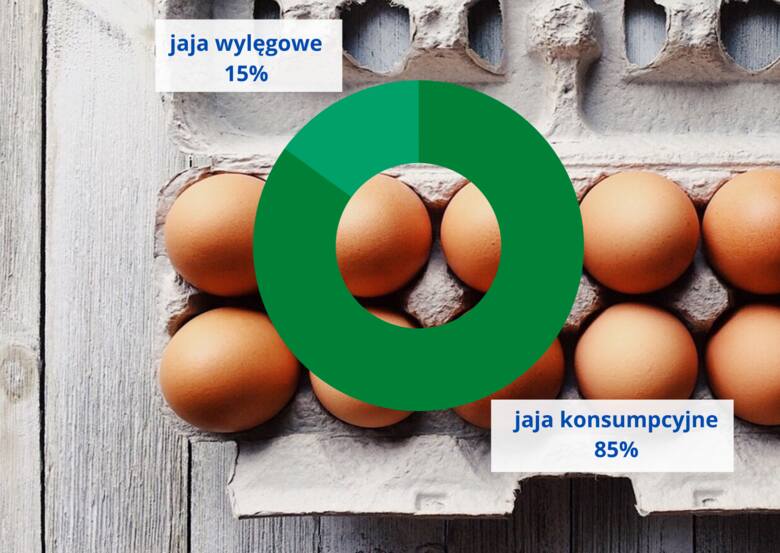 Znoszenie restrykcji w HoReCa sprzyjać będzie odbudowie popytu na jaja z Polski w 2022. Eksport hamowany będzie wciąż występującą w Polsce grypą ptaków,