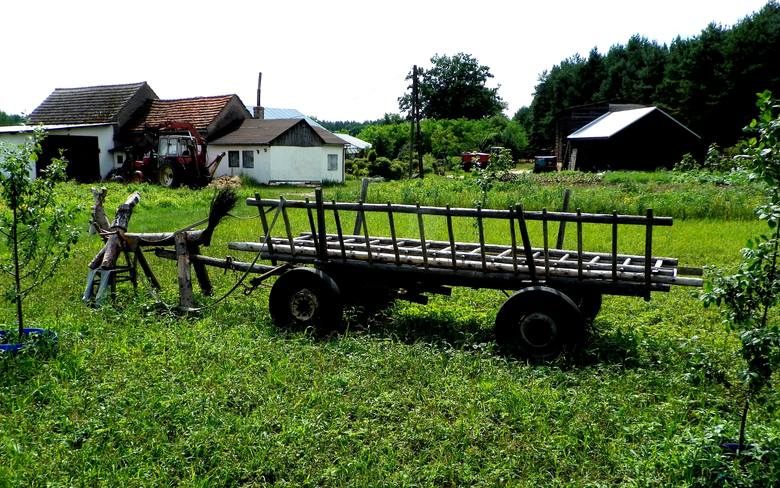 W gospodarstwie Krzysztofa Gomółki w Kłodnicy znajdują się dawne maszyny rolnicze.