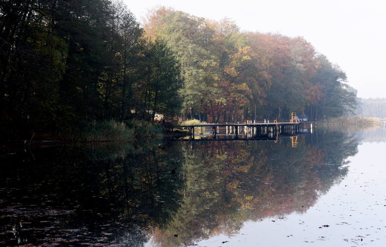 Jezioro Liny między Kargową a Babimostem - październik 2019 