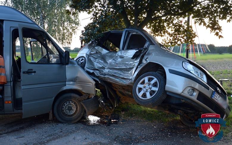 Wypadek pod Łowiczem. Dwie osoby zostały ranne [ZDJĘCIA]