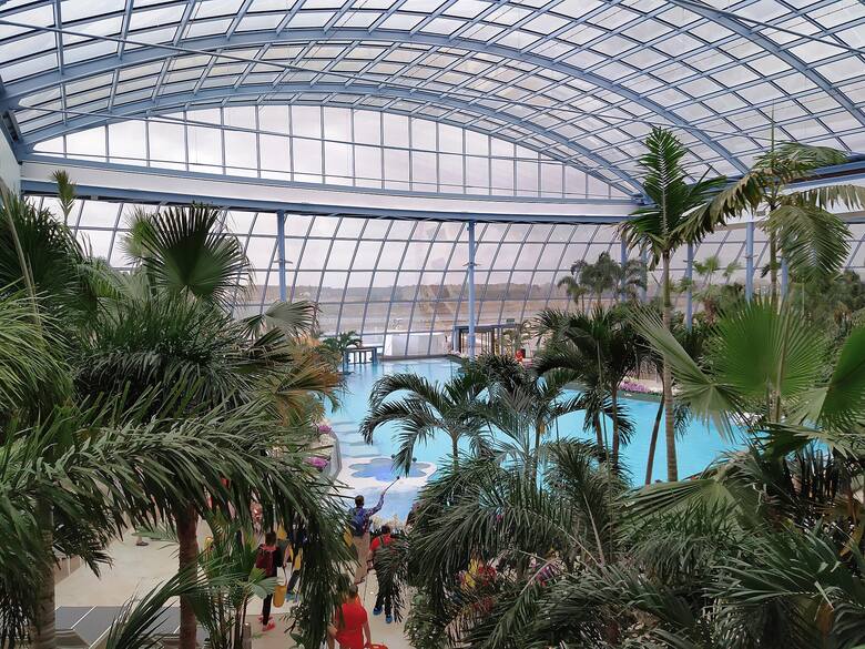 Suntago Wodny Świat - palmy przy basenach