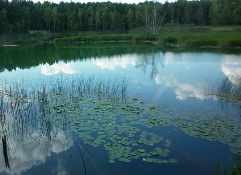 Kolorowe jeziora w okolicy Łęknicy i Trzebiela to z jednej strony turystyczna atrakcja. Z drugiej pamiątka po przeszłości
