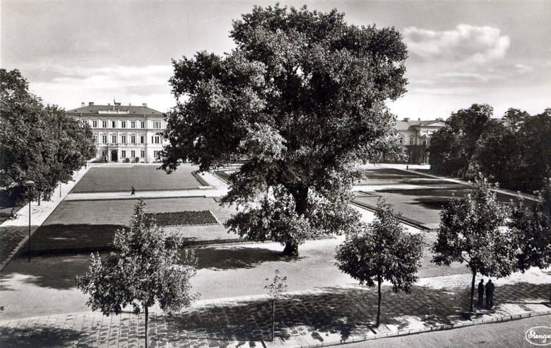 To samo drzewo w centrum propagandowej niemieckiej pocztówki wydanej ok. 1941 rok