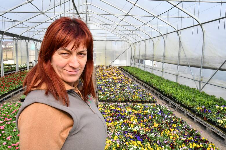 Aneta Krzak z firmy Ogrodnictwo Krzak mówi, jakie kwiaty możemy sadzić w ogródku już w marcu.