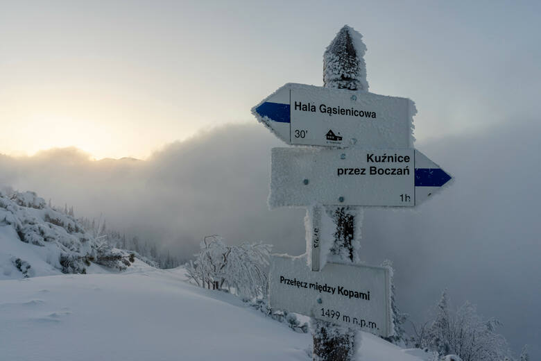 Oznakowania szlaków w górach w głębokim śniegu. Tatry, Polska.