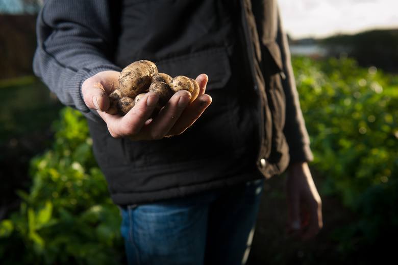 Warzywa stają się towarem luksusowym. Są coraz droższe. W ciągu dwóch lat cebula zdrożała o 60 proc., ziemniaki - o 55 proc.