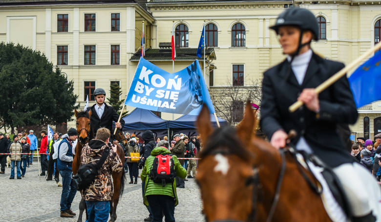 Kilkunastu hodowców koni stawiło się wczoraj na płycie bydgoskiego Starego Rynku. W ten sposób sprzeciwiają się decyzjom o zwolnieniu prezesów największych stadnin w Polsce.