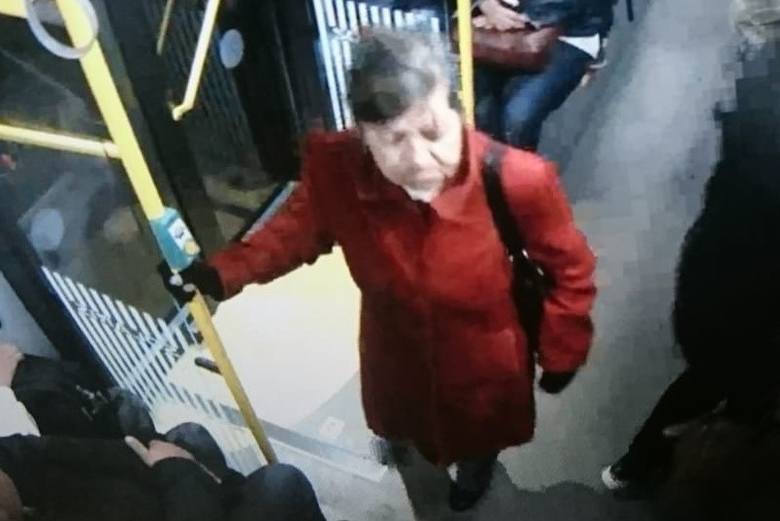 Około godz. 5.20 w dniu zaginięcia wizerunek Jadwigi Michlewicz zarejestrowała kamera w autobusie linii nr 20. Z dotychczasowych ustaleń wynika, że zaginiona