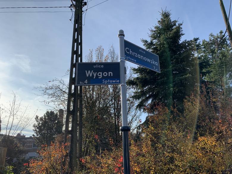 Pusty słup to charakterystyczny widok na ul. Sokalskiej w Poznaniu. Mieszkańcy od miesięcy nie mogą się doczekać aż ZDM umieści na nim tabliczkę z nazwą ulicy.