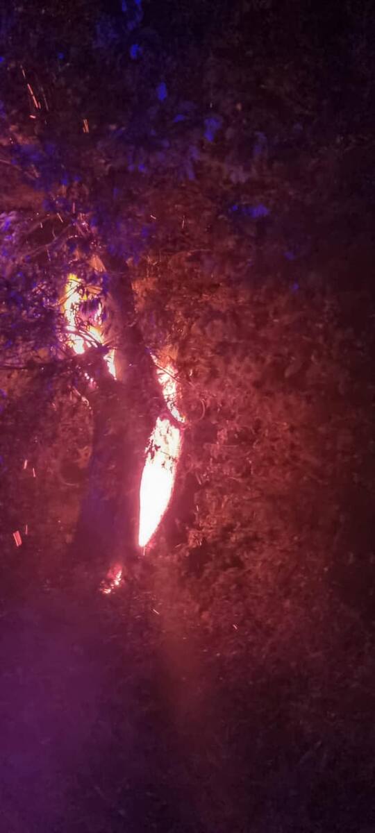 Piorun uderzył w drzewo w miejscowości Mściwojów (pow. jaworski). Drzewo stanęło w płomieniach.