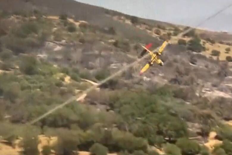 Oto samolot ratunkowy, który runął na ziemię. Piloci próbowali gasić ogromny las