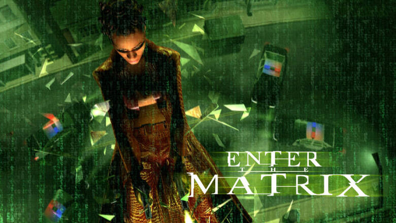 Enter The Matrix to jedna z niewielu gier w uniwersum Matrixa.