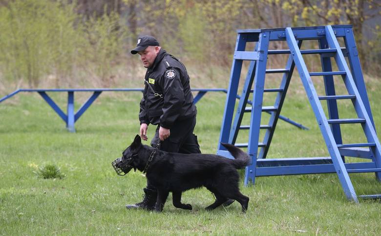 Policyjne psy na egzaminie 