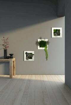 Zielone obrazy z roślin do dobry pomysł na dekorację ścian.