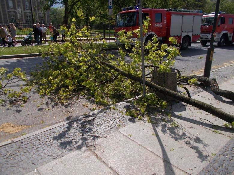 Drzewo, z którego spadła gałąź rośnie tuż za płotem Sądu Rejonowego. Trwa sprawdzanie wszystkich okoliczności zdarzenia, zarówno ze strony SR, jak również policji.