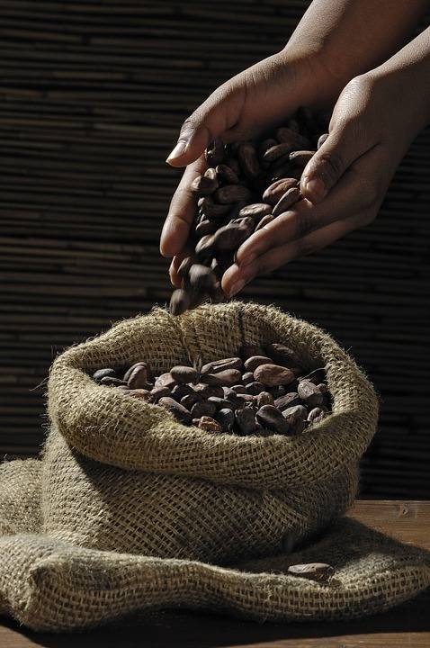 Kakao jest wyrobem otrzymanym przez sproszkowanie oczyszczonych, odtłuszczonych i prażonych ziaren kakaowych mówi Joanna Żelazna, główna technolog Fabryki